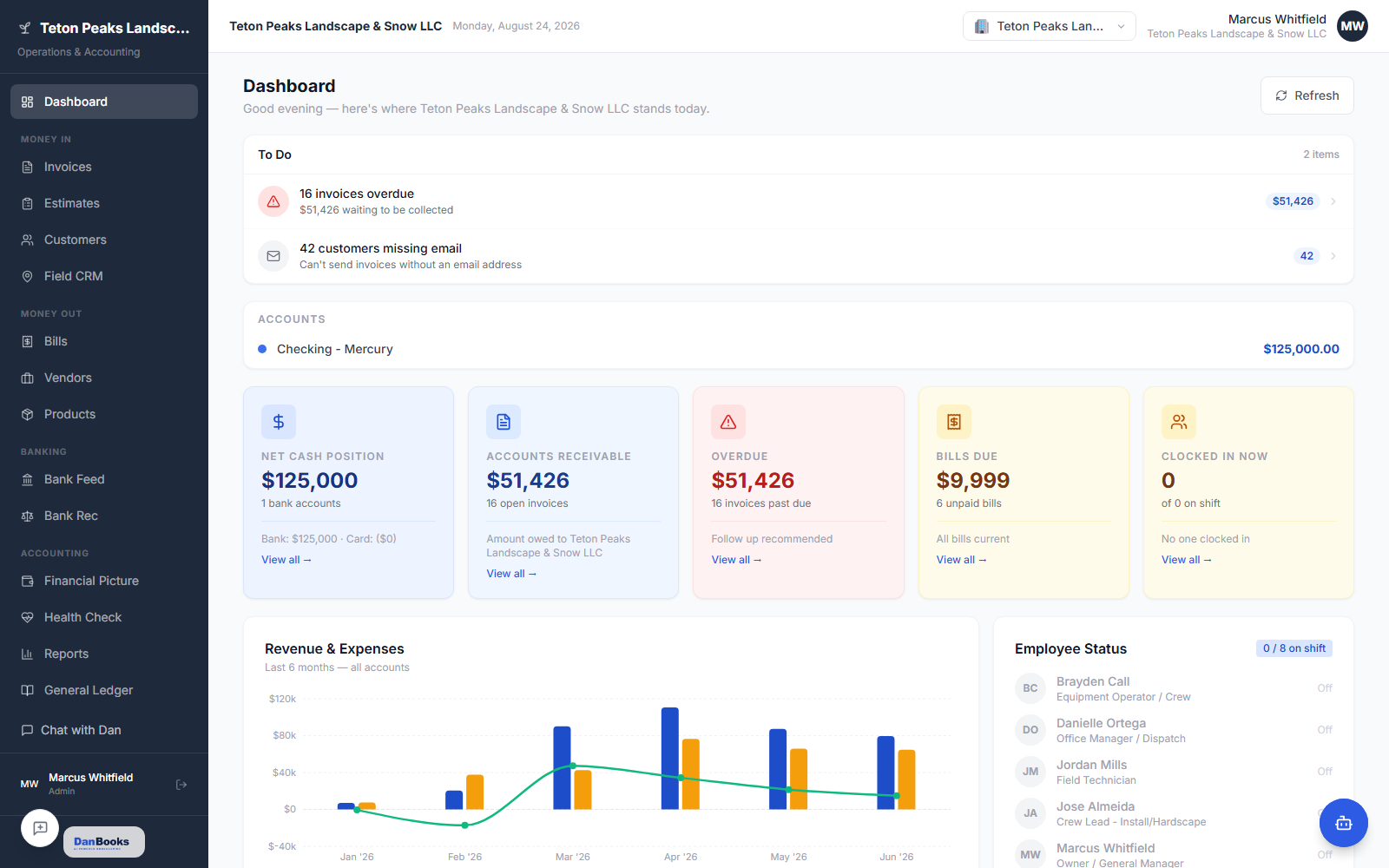 DanBooks dashboard showing cash position, receivables, bills due and a revenue chart